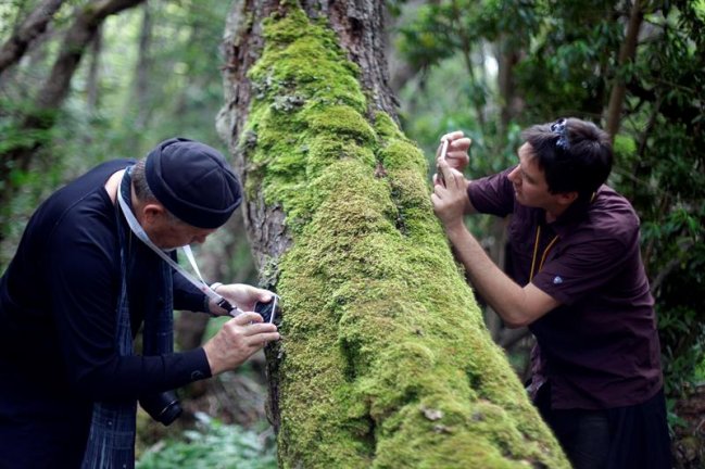 Imagen foto_00000002