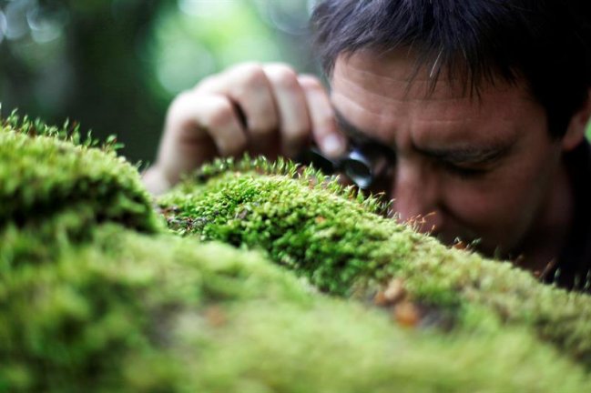 Imagen foto_00000003