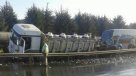 Camión con pescados se volcó en la Ruta 5 Sur y causó gran congestión