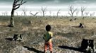 Nueve de diez desastres naturales están relacionados con el cambio climático