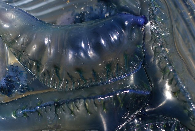 Imagen foto_00000016