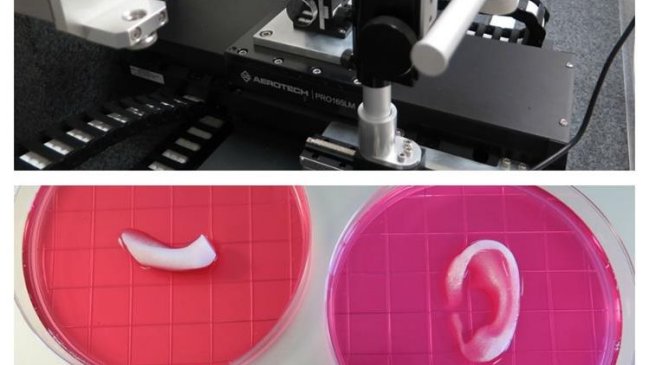 Desarrollan una impresora 3D capaz de fabricar tejido para humanos
