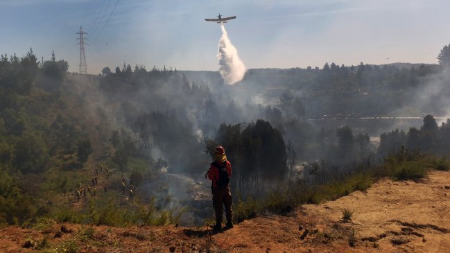 Balance de incendios forestales: 65 por ciento menos de superficie quemada
