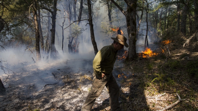 Gobierno anunció querellas contra responsables de incendios forestales en La Araucanía