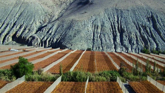 Llaman a visitar en estos últimos días de vacaciones las Rutas Patrimoniales de Chile