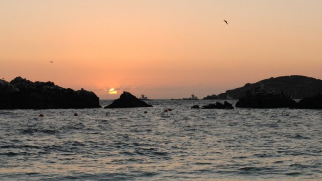 Imagen foto_00000016