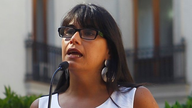 Gobierno espera que nadie se reste del proceso constituyente