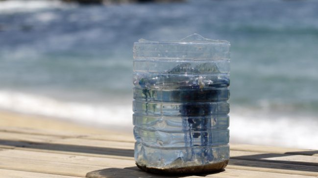 Detectaron 14 fragatas portuguesas en Puerto Saavedra