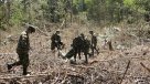 Colombia: Encuentran seis cadáveres víctimas de masacre paramilitar