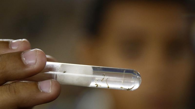 Argentina registró primer caso autóctono de Zika