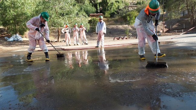 Seremi de Medio Ambiente de Valparaíso: No hay que bajarle el perfil a derrame de cobre