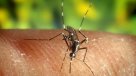 Detectan en Francia primer caso de Zika por transmisión sexual