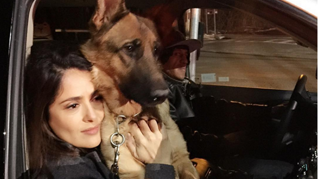 Salma Hayek llora la muerte de su perro asesinado