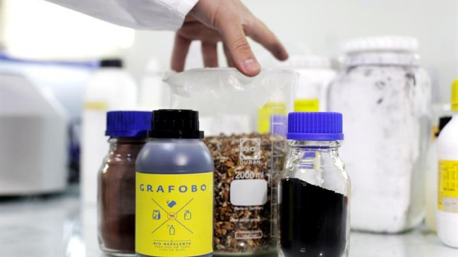 Chileno dice haber creado repelente contra el mosquito portador del Zika