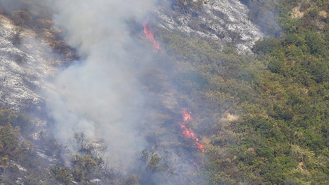 Comuna de Padre Hurtado bajo alerta roja por incendio forestal