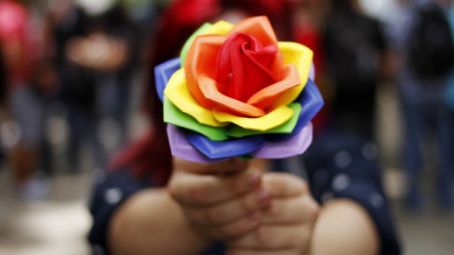 Dictamen judicial reabre debate sobre adopción homoparental