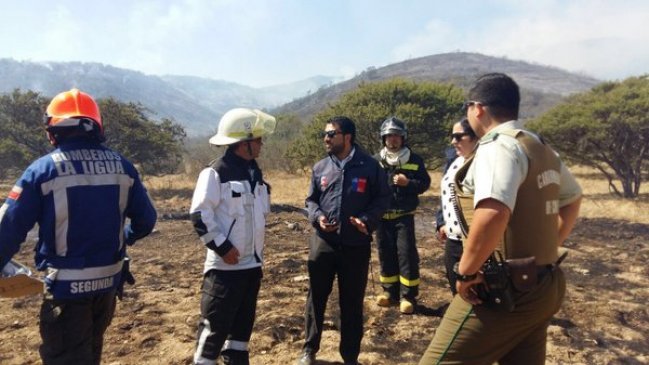 Incendio forestal en La Ligua continúa sin control y se mantiene alerta roja