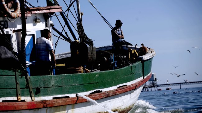Marea roja afecta a pescadores artesanales de la Región de Los Lagos