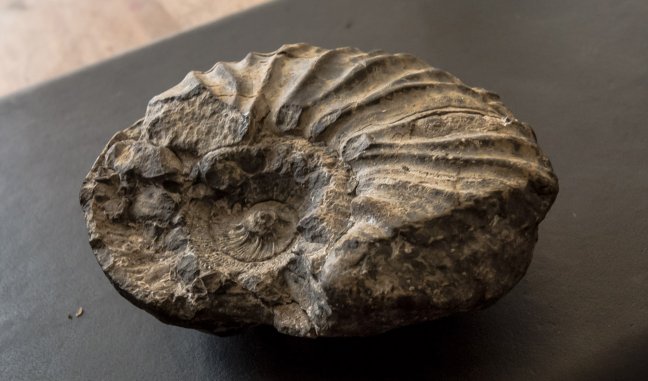 Imagen foto_00000016