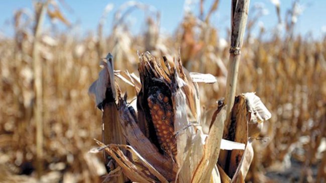 Chile donó 100 mil dólares a El Salvador para apoyar a afectados por sequía