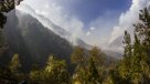 Bosque nativo chileno es el ecosistema más deforestado de Sudamérica