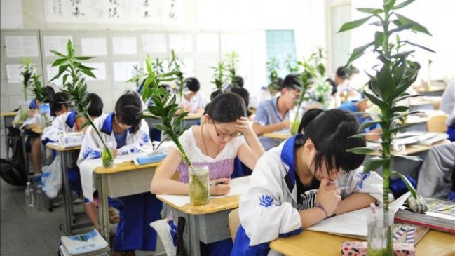 Ola de suicidios de jóvenes de Hong Kong pone en cuestionamiento al sistema educativo