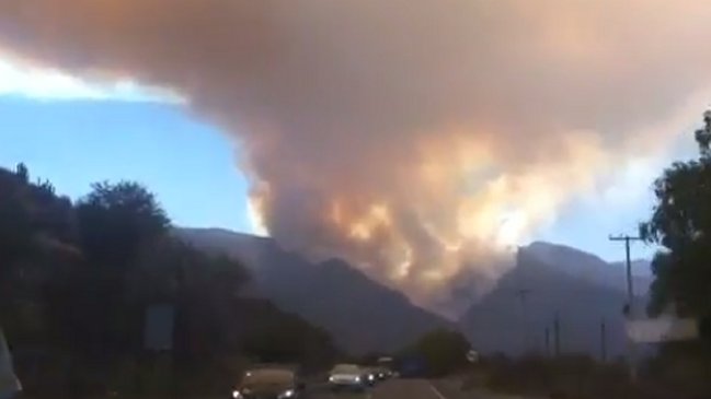 San Felipe: Incendio forestal destruyó más de 700 hectáreas de reserva de cipreses