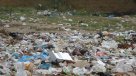 Descubren una bacteria que descompone el plástico