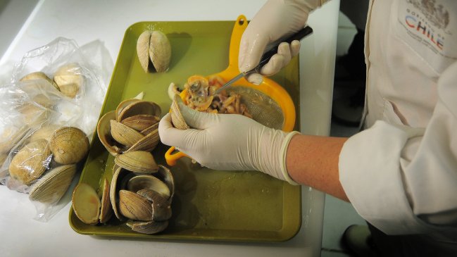 Marea Roja: Seremi entregó recomendaciones para la compra de pescados y mariscos