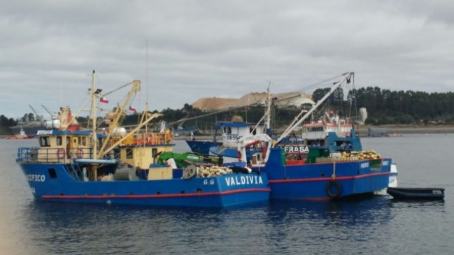 Tripulantes abandonaron buques con salmones descompuestos en Calbuco