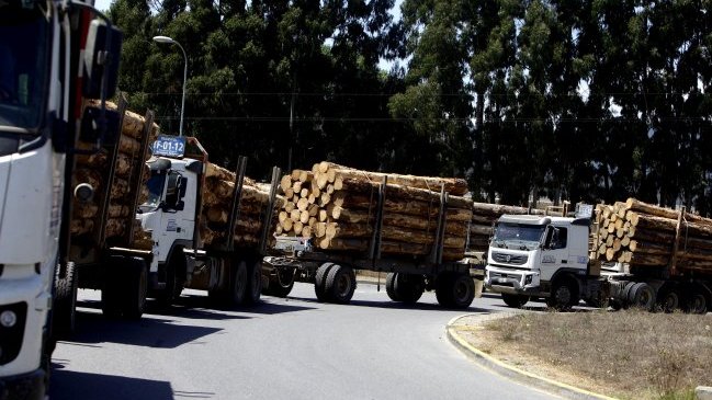 Trabajadores forestales anuncian protesta contra 