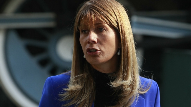 Gobierno desdramatizó críticas de la Sofofa a la reforma laboral