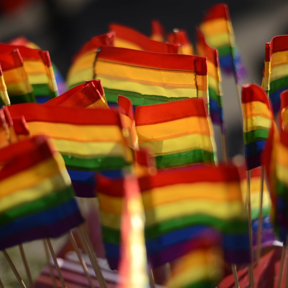 Movilh: El 2015 fue el 