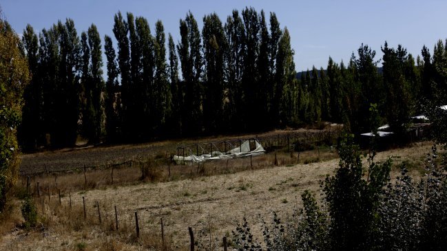 Expertos en Meteorología pronostican un otoño seco en Chile