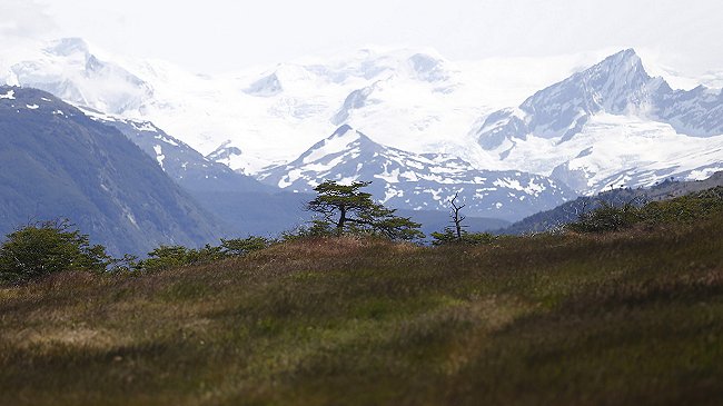 Gobierno estudia cobrar impuesto a extranjeros en la Región de Magallanes