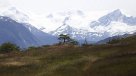 Gobierno estudia cobrar impuesto a extranjeros en la Región de Magallanes