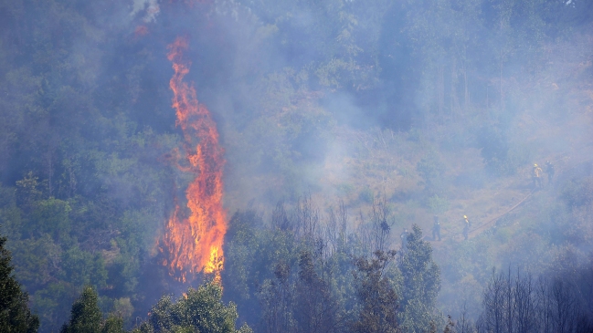 Onemi decretó alerta roja en las provincias de Concepción y Ñuble por incendios forestales