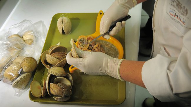 Preocupación en Aysén por presencia de marea roja