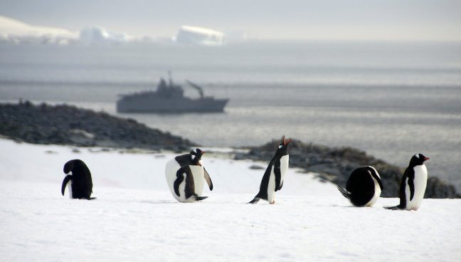 Imagen foto_00000015