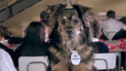 Lipigas despidió con emotivo clip a su rostro 