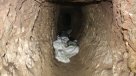 Autoridades descubrieron túnel de 20 metros para robar un banco en México