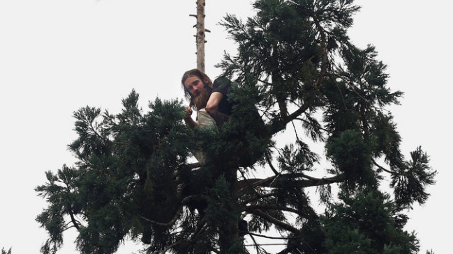 Hombre escala árbol de 24 metros y pasa allí un día entero