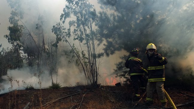 Autoridades declararon alerta roja en Punta Arenas por incendio forestal