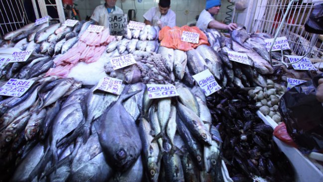 Seremi decomisó más de 354 kilos de productos del mar en mal estado en Valparaíso