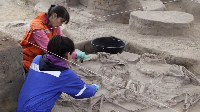 Hallazgos arqueológicos en Coquimbo enriquecen estudio de pueblos originarios