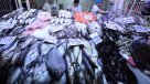 Seremi decomisó más de 354 kilos de productos del mar en mal estado en Valparaíso