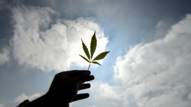 Ex cabo del Ejército impugnará fallo que ratificó su baja por consumo de cannabis