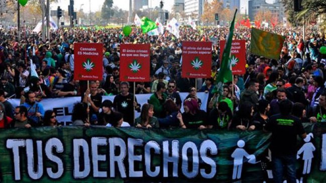 Fundación Daya presentó instructivo para acreditar uso medicinal de cannabis