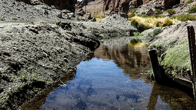 Bolivia al canciller Muñoz: La realidad entra por la vista, no por discursos acalorados