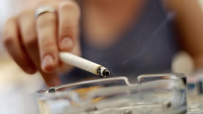 PDI decomisó cigarrillos falsificados en Lampa: Contenían excremento de conejo